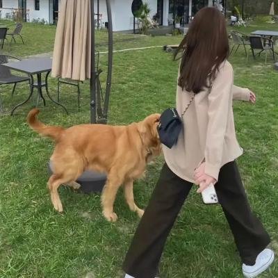 理发师的情人